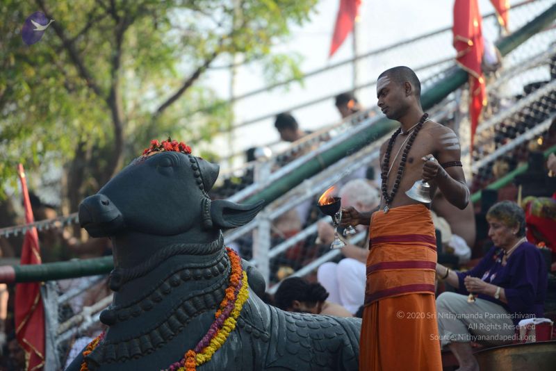 File:20161219 Photo 1103 1oVMTPqcCLR6zui2xkUMbpDWCBTTQGc4q.JPG