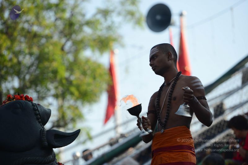 File:20161219 Photo 1104 1eUWaHt0PNXS0gjks7mftQbhFnI9idjvc.JPG