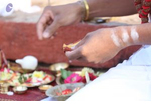 20161219 Photo 1112 1xzXVlry3 nOmUMnwbxROfKOSzjGSzc3o.JPG