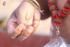 20161219 Photo 1114 14aG-uXvq6aQw2PdKHb4sp1C8erd3Udn7.JPG