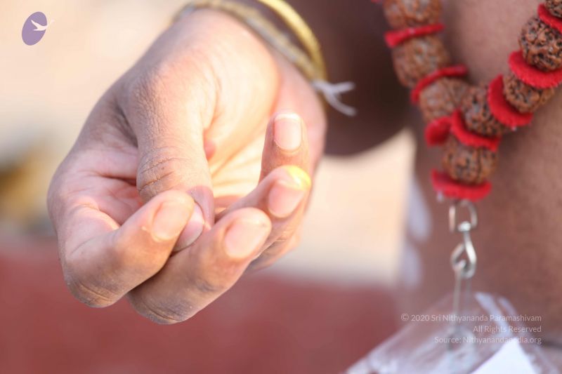 File:20161219 Photo 1114 14aG-uXvq6aQw2PdKHb4sp1C8erd3Udn7.JPG