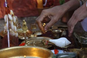 20161219 Photo 1119 1mCkSt2bM4budHSJbFE1LvZ4chGTkh3WL.JPG