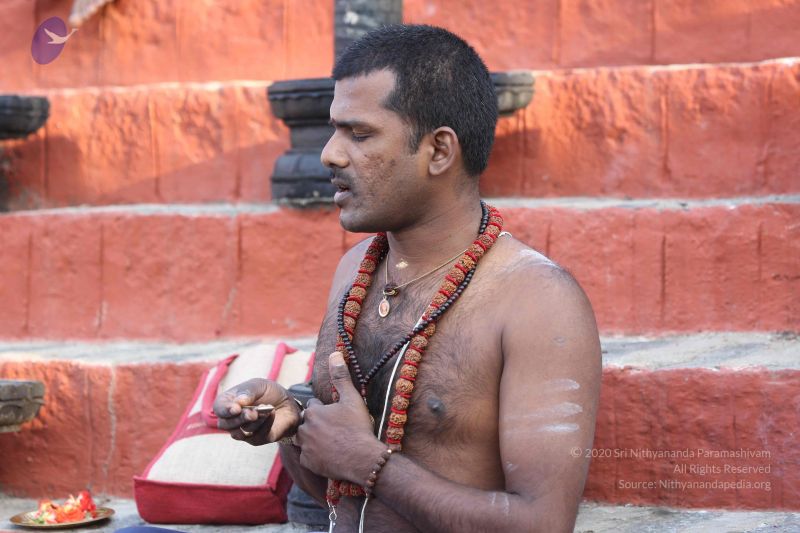 File:20161219 Photo 1128 1fK-UyINDLhVu6OHSvn1MtXkYcWpXHt6D.JPG