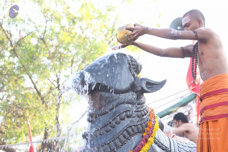 File:20161219 Photo 1149 1TaZckZfxDYgSQVGOGTH-BIA0P1C-qTSM.JPG