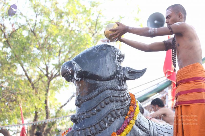 File:20161219 Photo 1150 1gASoA-7GvT W8lbtgY5AoRWk3ojQqpzV.JPG