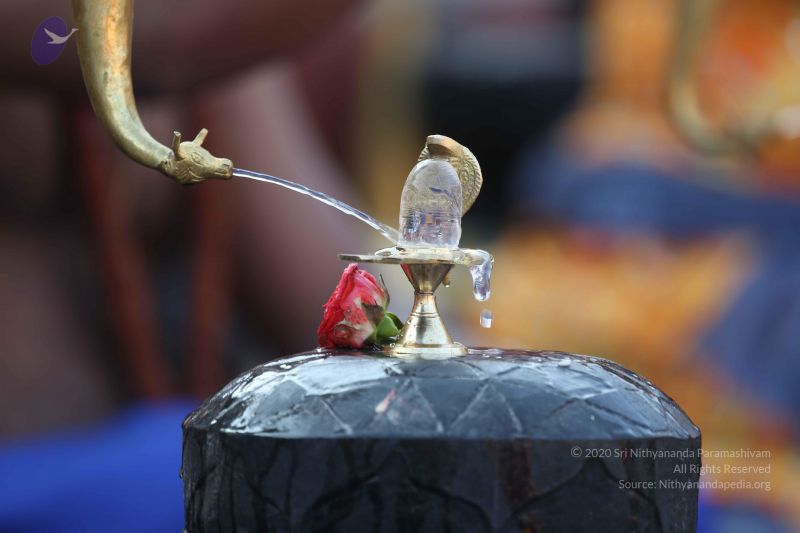 File:20161219 Photo 1151 1JajECzWfZtQZ8o2WmVdua-ecKud9Z6Ox.JPG