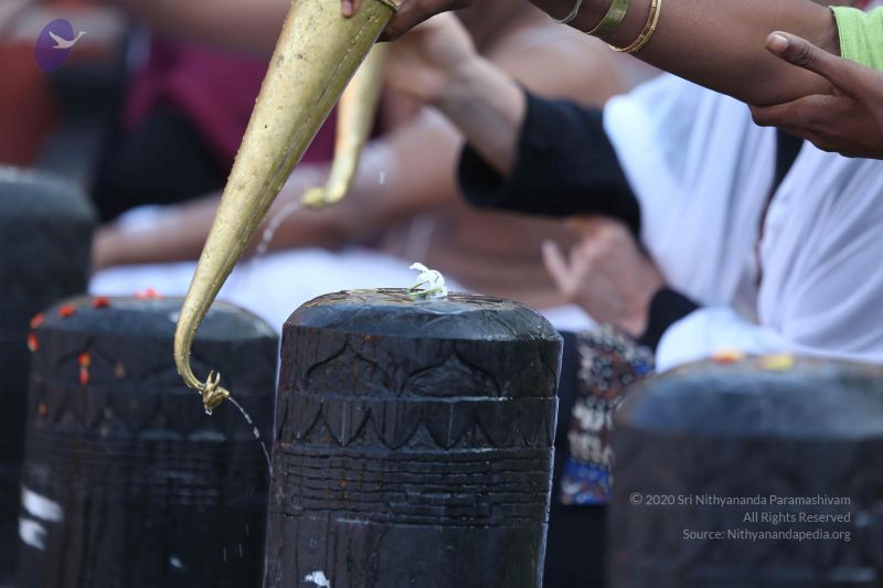 File:20161219 Photo 1153 1sCPXUyu2lTOsd9sc6pPH8DDtLLUyp04N.JPG