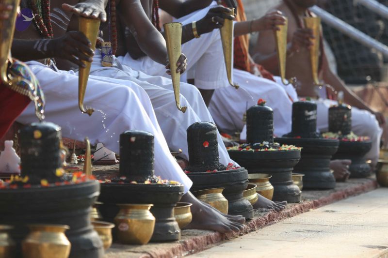 File:20161219 Photo 1159 1s06w PljmdD0I3UN4BNal9BUuFGf7NEd.JPG