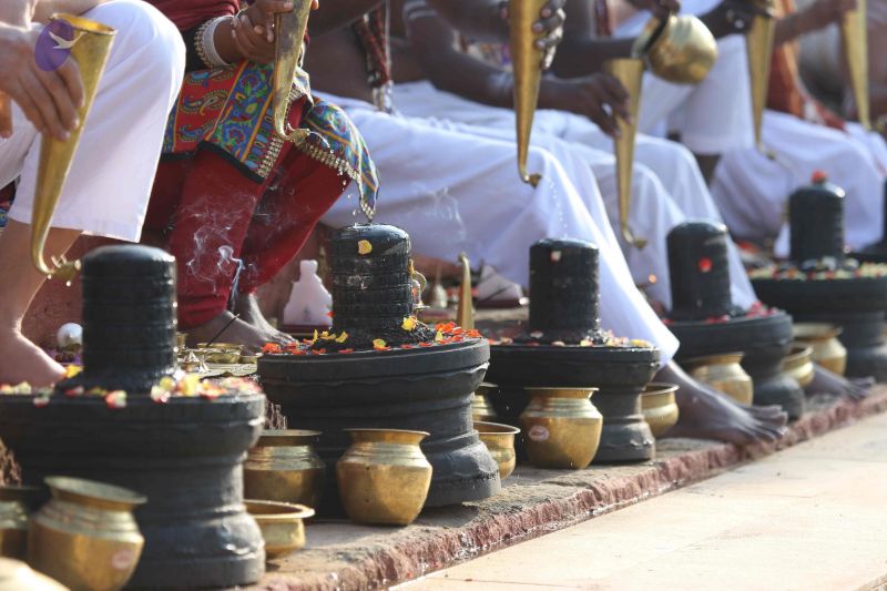 File:20161219 Photo 1160 1dT4zHI-dj3jmo1iEumrdseboimOV8LT2.JPG