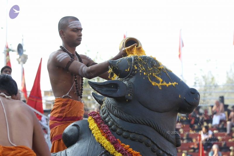 File:20161219 Photo 1170 1DttG9pfJDGXvtLVyNRkoh1604CPdxXbd.JPG