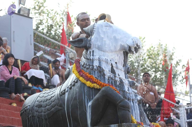 File:20161219 Photo 1174 1264mdYU61r5Yjj9-4Dx4xELY0Wnce9Q0.JPG