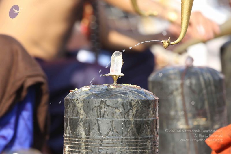 File:20161219 Photo 1179 1CrfUGF3Fy9ZVHcHs2epaNvxV33IsK6h9.JPG