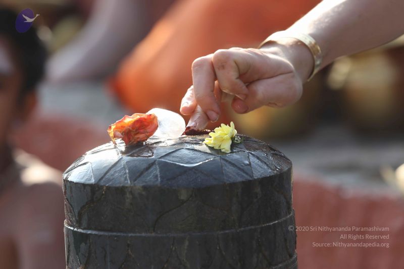 File:20161219 Photo 1182 1ZzXFXuhIRVSvaR1GwhJGcnTeb-46ROxS.JPG