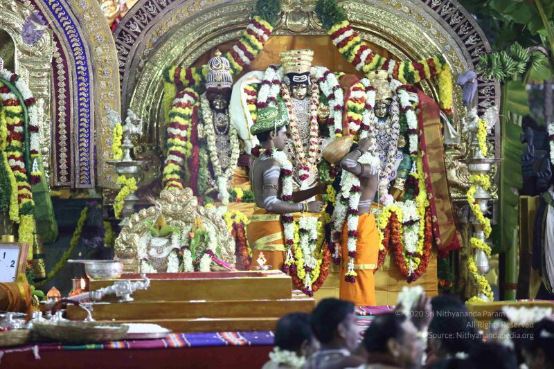 File:20161219 Photo 2922 1y6k Nxc72hzFXKLh6s7FXHNqDpX6zVgj.JPG