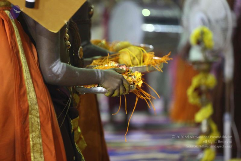 File:20161219 Photo 2935 1wmZSuHn8YNND0pkDhyulHV3bOpP3Hxf9.JPG