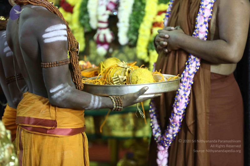 File:20161219 Photo 2939 1mt7ftvxCQqqN--MdGWhw0cH7AzLdXlKp.JPG