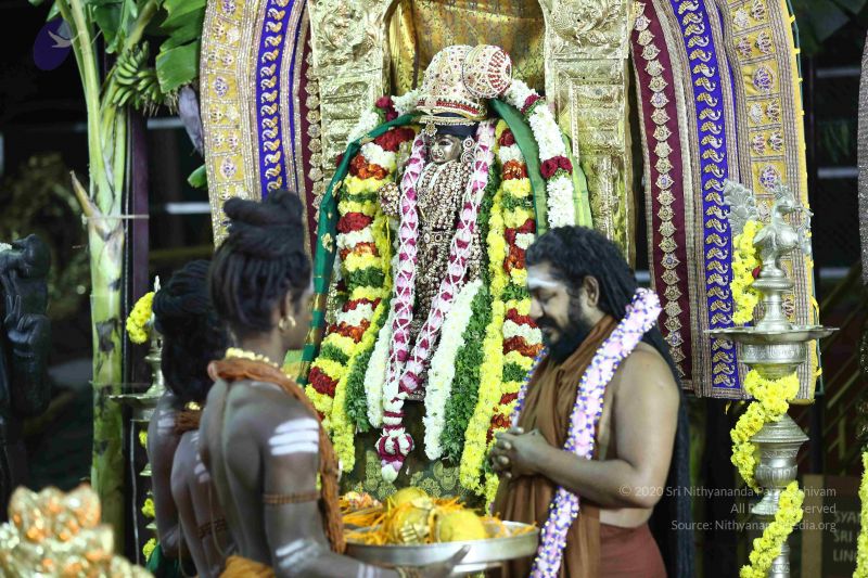 File:20161219 Photo 2940 1gXDg8I5olHvZF-Dyjl6q5i1G7n QX9Sy.JPG