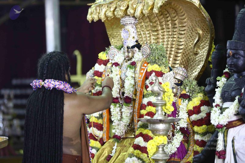 File:20161219 Photo 2951 1C57SYa0vguRXqFZjNgejCxUtMgZGuk9k.JPG