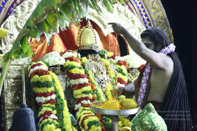 File:20161219 Photo 2953 1X23ibvS7ixetf2Mk093cty-OzAK-Bh3S.JPG