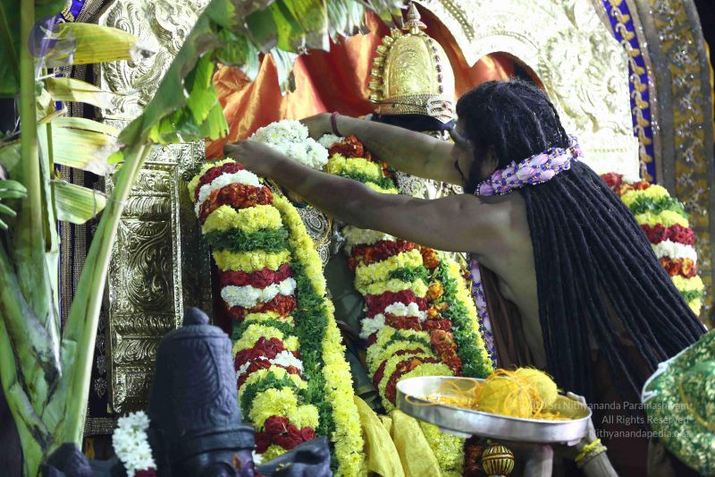 File:20161219 Photo 2956 1MRw 9m N3VYXre7tC7 D107m982mTS2n.JPG