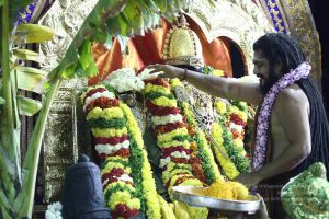 20161219 Photo 2958 1R-O oxm53bjMv1SNrhoSc 2AiPYI7yfz.JPG