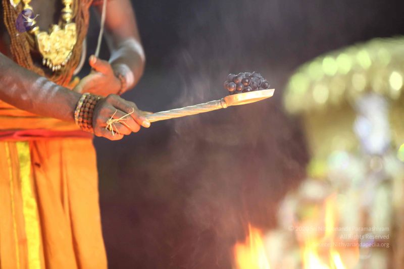 File:20161219 Photo 2982 1HHp3RmmA68vhJJfzjEdrCAjPDKC Vc0l.JPG