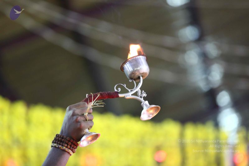 File:20161219 Photo 2986 1MYmY7XxzDqnN31fdNsLqqFfV65Zbsmbc.JPG