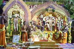 20161219 Photo 2995 1ORsFrtPbB3 2nGXUoBOS5qApQbzIOZ5a.JPG