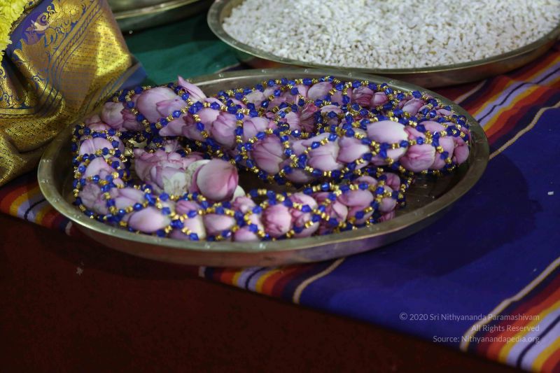 File:20161219 Photo 3034 11NPpnlt2Jkra4q0oGLYoeJkRDybTaLkm.JPG