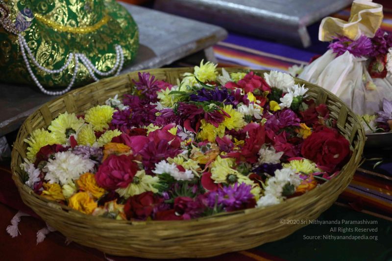 File:20161219 Photo 3036 1YjtdhTWrnRw8KWYk3yH7dCvdoa6Dc47t.JPG