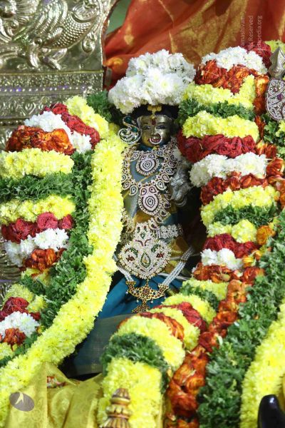 File:20161219 Photo 3066 1CAbyad1xcfVE-p9cYFbaOfHzOVipvZTj.JPG