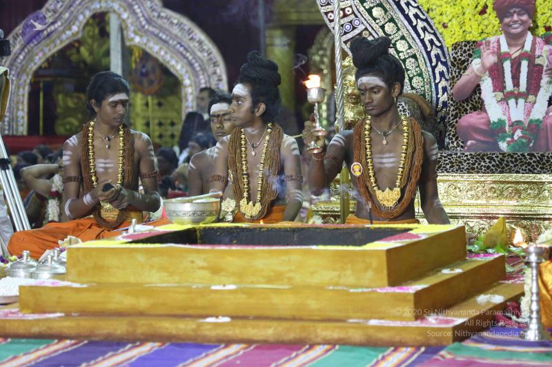 File:20161219 Photo 3084 190zKFc74DBOdjD5QdXmGaB YfcXeTtgq.JPG