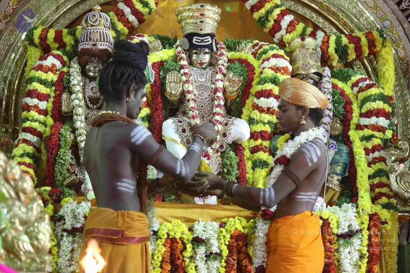 File:20161219 Photo 3097 1j9fzNsSAvLqiqZx6rVc6ZrjK18F6u6wv.JPG