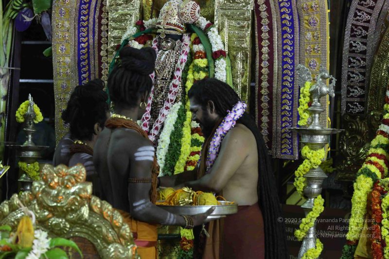 File:20161219 Photo 3143 1 X ZRAsjCfhN296FtGlVeJXHs-VfYymA.JPG