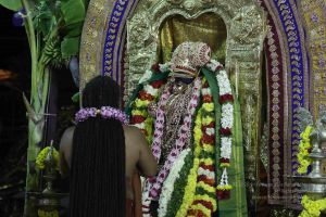 20161219 Photo 3178 1PwOWPItH3FWMLCfTFXReIwYSG9JGp3v6.JPG