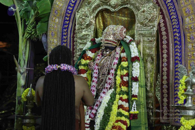 File:20161219 Photo 3178 1PwOWPItH3FWMLCfTFXReIwYSG9JGp3v6.JPG