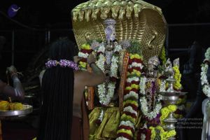 20161219 Photo 3179 1YemRNwrbyBMKYBv 1ry4D8I9VNlz7AMj.JPG