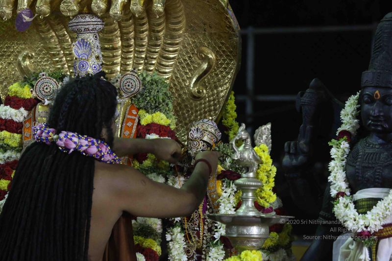 File:20161219 Photo 3182 1fbxVBAOauYZRgnae2Cj8el09COLolJfy.JPG