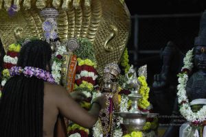 20161219 Photo 3183 18s6n7q8sL5c5JQ3rdLzMdBmkoko OJkM.JPG