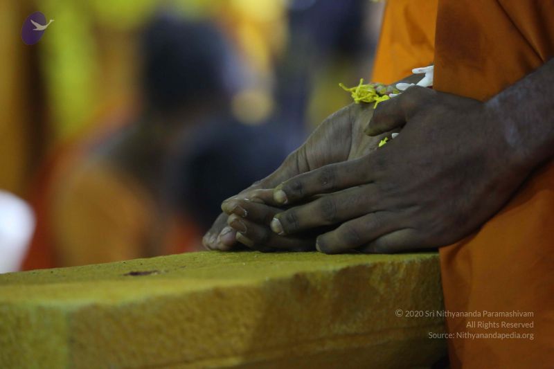 File:20161219 Photo 3231 1DP0isUX50nedve6k bogo3JO0GCRRiWY.JPG