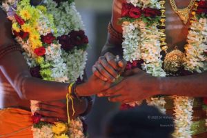 20161219 Photo 3238 1KzDQUduiv07Mg4IFd3L9IBYExR3Hfcmv.JPG