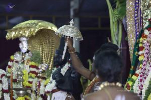 20161219 Photo 3270 1-OEose5L2x2-uYDULf895dG2KncUwHd2.JPG