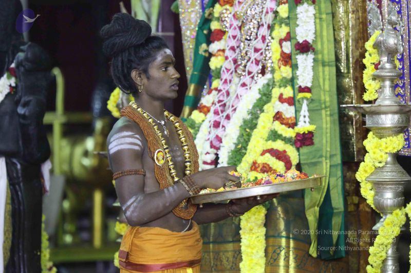 File:20161219 Photo 3281 16pgLjtWUBHjFOl4x-0Kg-jQLEgcbdAqN.JPG