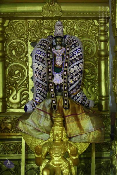 File:20161219 Photo 3292 1PcchpCqfi78C4YncOLiQLddMiUlMF13c.JPG