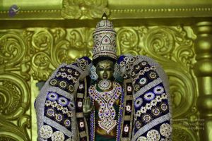 20161219 Photo 3295 1CUNHb-xJhqK2GJw8o8SPj1vRNrvw7IbI.JPG