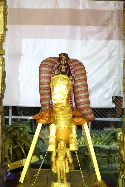 File:20161219 Photo 3317 1-e7LvHR7k9CctRbVqHcJ5DP-UveknhSl.JPG