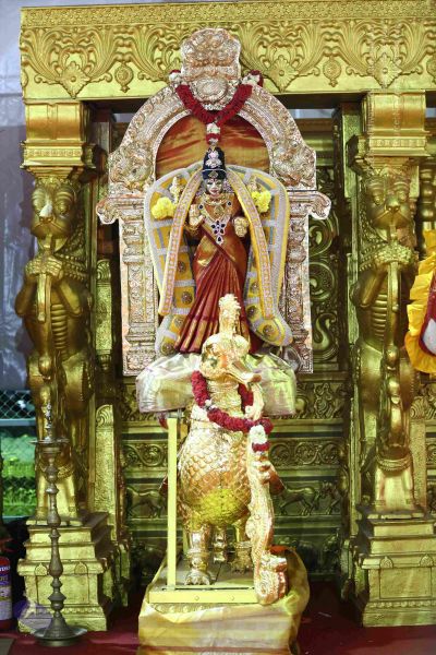 File:20161219 Photo 3335 1FI7j4oVkZeWgmpmDnxe6JE9NuXZQLfGw.JPG