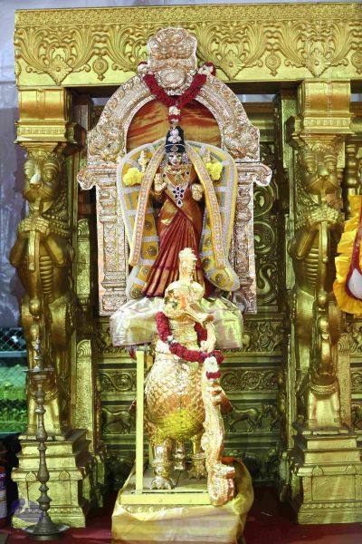 File:20161219 Photo 3336 1Qvnnr6xSG5RRf3gQjrMSJzNd5a9mj3GU.JPG