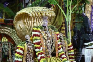 20161219 Photo 3342 1A1DTkDav wIi e2dzKIzvFG7VWFO9 HT.JPG