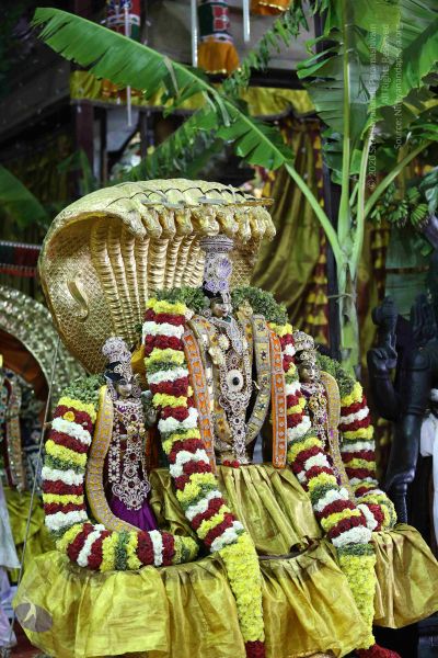 File:20161219 Photo 3343 1P9vBj-19RF2suY8KMUt3jm0nVGXUOGRg.JPG